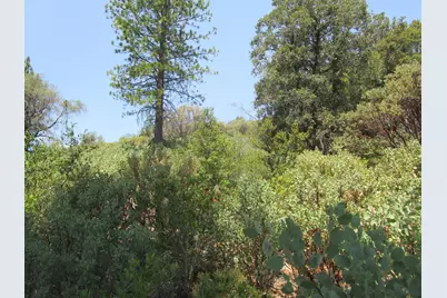24271 Hoyt Crossing Road, North San Juan, CA 95960 - Photo 37