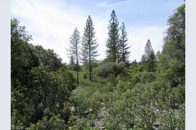 24271 Hoyt Crossing Road, North San Juan, CA 95960 - Photo 5