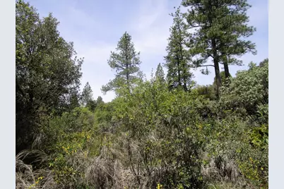 24271 Hoyt Crossing Road, North San Juan, CA 95960 - Photo 13