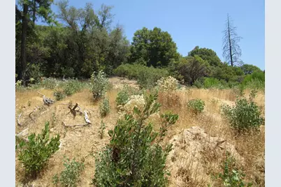 24271 Hoyt Crossing Road, North San Juan, CA 95960 - Photo 41