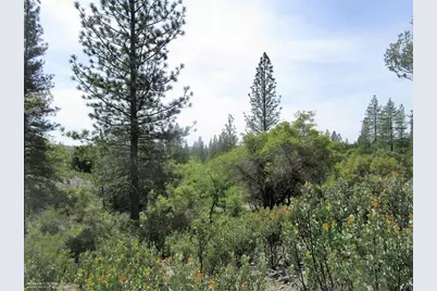 24271 Hoyt Crossing Road, North San Juan, CA 95960 - Photo 9