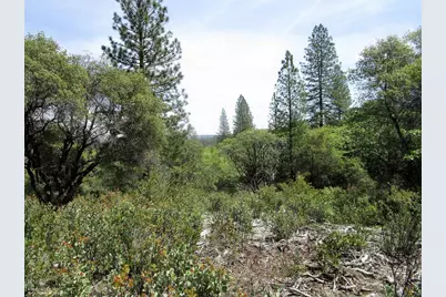 24271 Hoyt Crossing Road, North San Juan, CA 95960 - Photo 3