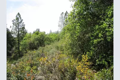 24271 Hoyt Crossing Road, North San Juan, CA 95960 - Photo 17