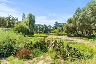 Cold Springs Rd, Placerville, CA 95667 - Photo 39