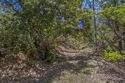 22500 Canyon Way, Colfax, CA 95713 - Photo 27