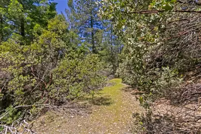 22500 Canyon Way, Colfax, CA 95713 - Photo 29