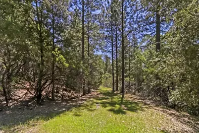 22500 Canyon Way, Colfax, CA 95713 - Photo 1