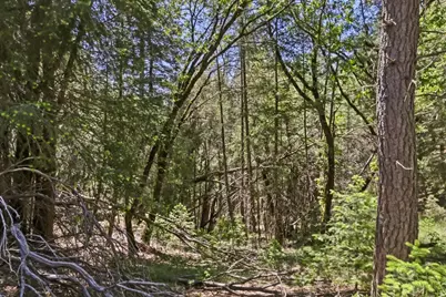 22500 Canyon Way, Colfax, CA 95713 - Photo 21