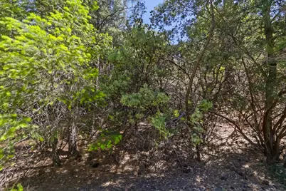 22500 Canyon Way, Colfax, CA 95713 - Photo 31