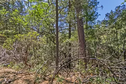 22500 Canyon Way, Colfax, CA 95713 - Photo 23