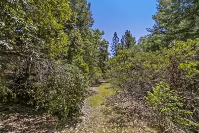 22500 Canyon Way, Colfax, CA 95713 - Photo 25