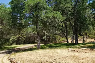 [Address not provided], Grass Valley, CA 95949 - Photo 29