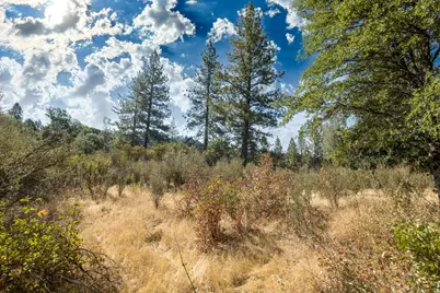 35 Amapola Court, Pollock Pines, CA 95726 - Photo 3