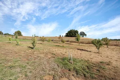 23595 N Mackville Road, Clements, CA 95227 - Photo 49