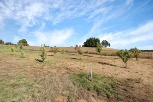 23595 N Mackville Rd, Clements, CA 95227 - Photo 49