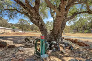24733 Clayton Rd, Grass Valley, CA 95949 - Photo 75