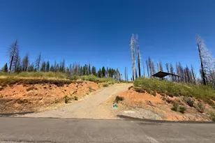 5401 Wooded Glen, Grizzly Flats, CA 95636 - Photo 1