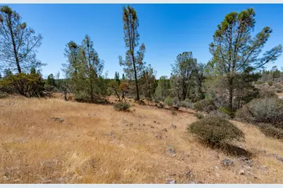 12141 Newtown Road, Nevada City, CA 95959 - Photo 17