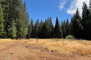 18418 Cruzon Grade Rd, Nevada City, CA 95959 - Photo 1
