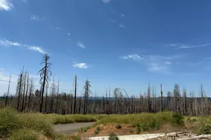 4965 Rollingwood Dr, Grizzly Flats, CA 95636 - Photo 1