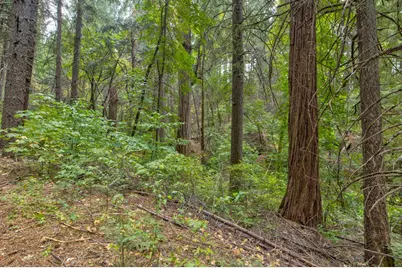 0 Mtn. Dew Lane, Somerset, CA 95684 - Photo 3