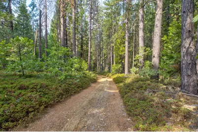 0 Mtn. Dew Lane, Somerset, CA 95684 - Photo 3