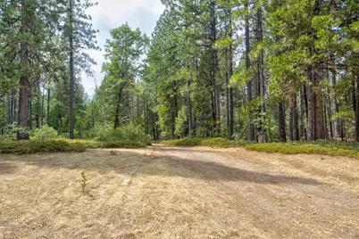 0 Mtn. Dew Lane, Somerset, CA 95684 - Photo 5