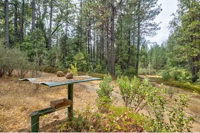 0 Mtn. Dew Lane, Somerset, CA 95684 - Photo 37