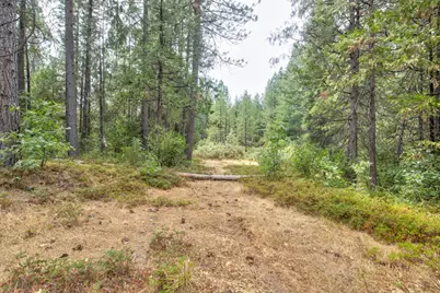 0 Mtn. Dew Lane, Somerset, CA 95684 - Photo 37