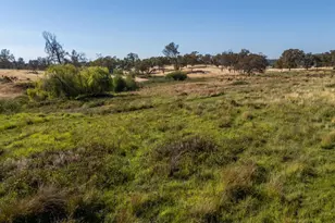 12550 Bayshore St, Marysville, CA 95901 - Photo 15