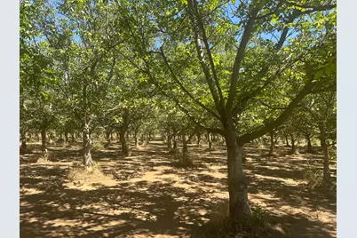 456 Justeson Avenue, Gridley, CA 95948 - Photo 1