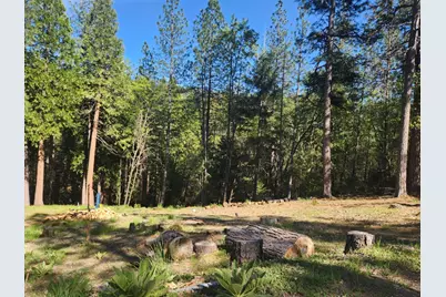 5508 Five Spot Road, Pollock Pines, CA 95726 - Photo 1