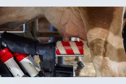 15453 E Monte Vista Avenue, Denair, CA 95316 - Photo 3