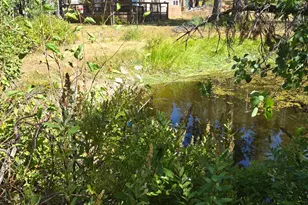 9281 Big Creek Rd, Bucks Lake, CA 95971 - Photo 7