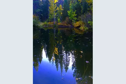 9281 Big Creek Road, Bucks Lake, CA 95971 - Photo 35