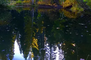 9281 Big Creek Rd, Bucks Lake, CA 95971 - Photo 35