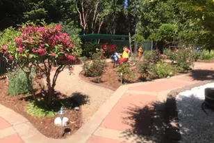 25985 Forest Knoll Ct, Pioneer, CA 95666 - Photo 69