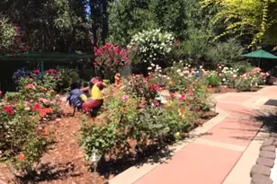 25985 Forest Knoll Ct, Pioneer, CA 95666 - Photo 7