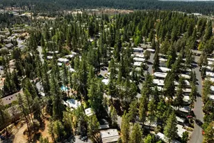 Laurel Ln, Grass Valley, CA 95945 - Photo 43