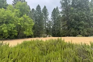 12820 Rough and Ready Hwy, Rough and Ready, CA 95975 - Photo 39
