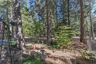 20175 Pine Dr, Pioneer, CA 95666 - Photo 45
