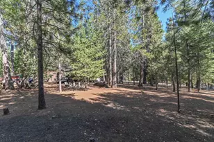 20175 Pine Dr, Pioneer, CA 95666 - Photo 41