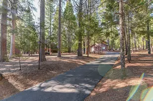 20175 Pine Dr, Pioneer, CA 95666 - Photo 33