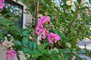 11200 Linda Dr, Auburn, CA 95602 - Photo 7