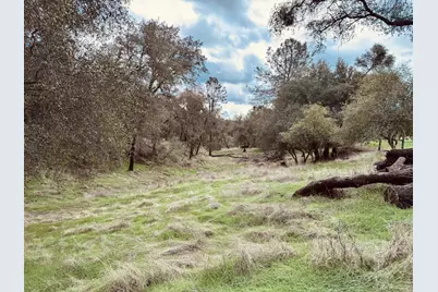 4981 Mourning Dove Lane, Shingle Springs, CA 95682 - Photo 9