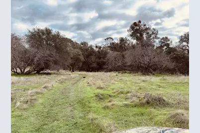 4981 Mourning Dove Lane, Shingle Springs, CA 95682 - Photo 5