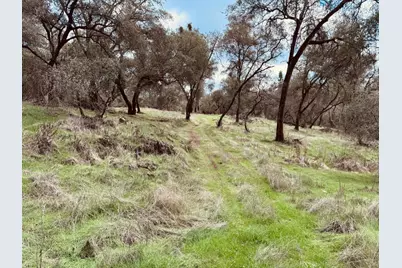 4981 Mourning Dove Lane, Shingle Springs, CA 95682 - Photo 3