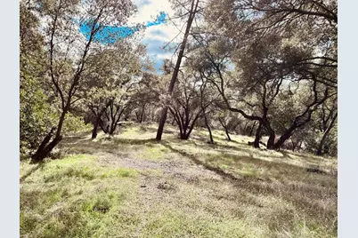 4980 Mourning Dove Lane, Shingle Springs, CA 95682 - Photo 7