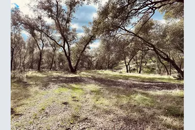 4980 Mourning Dove Lane, Shingle Springs, CA 95682 - Photo 13