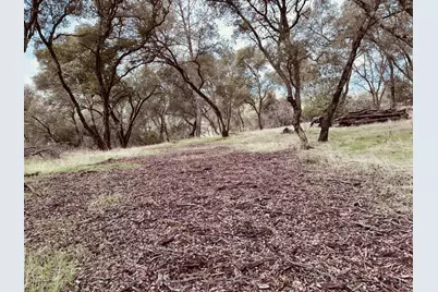 4980 Mourning Dove Lane, Shingle Springs, CA 95682 - Photo 5